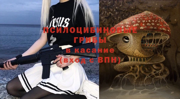 эйфоретик Няндома