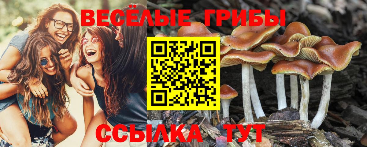 Самара  Галлюциногенные грибы мухоморы  Галлюциногенные грибы Psilocybe  как найти наркотики  Вход с VPN 